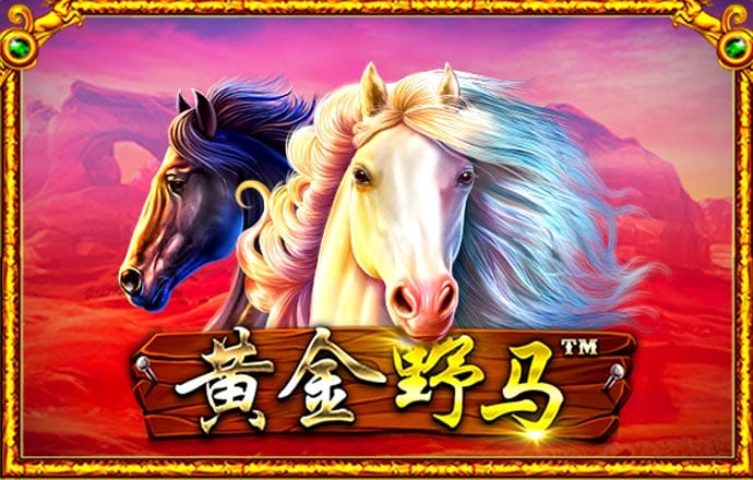 国际威九18免费